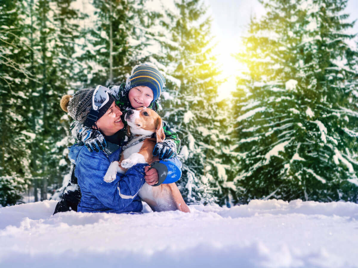 Wie pflegt man einen Hund im Winter?